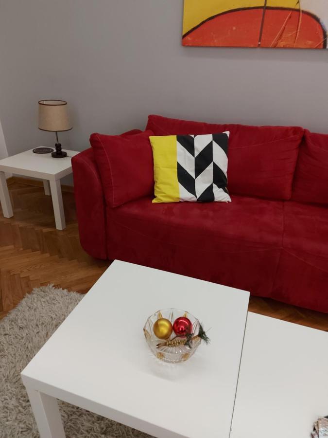 Favorite Apartment 베오그라드 객실 사진